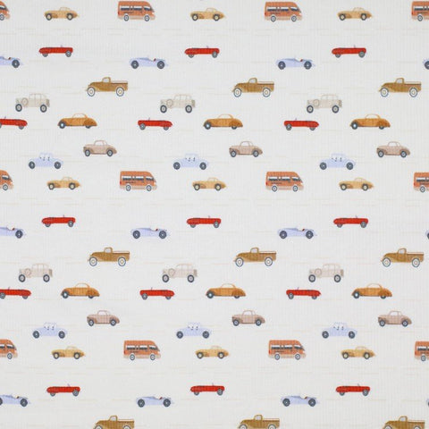 Rib Jersey „Little cars“