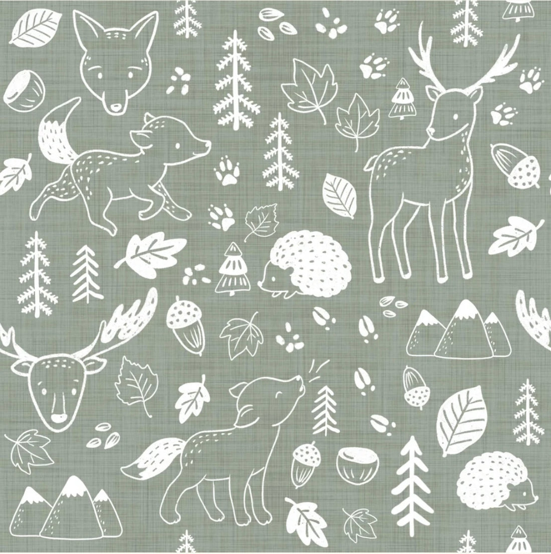 Family Fabrics / Jersey „Forest Doodle Sage“