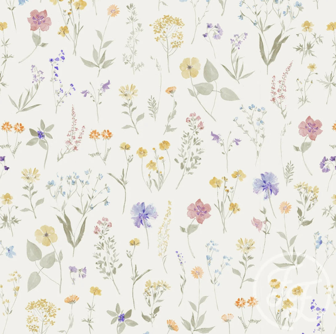 Family Fabrics / Baby Rib 260g „Wild Flowers Off White“