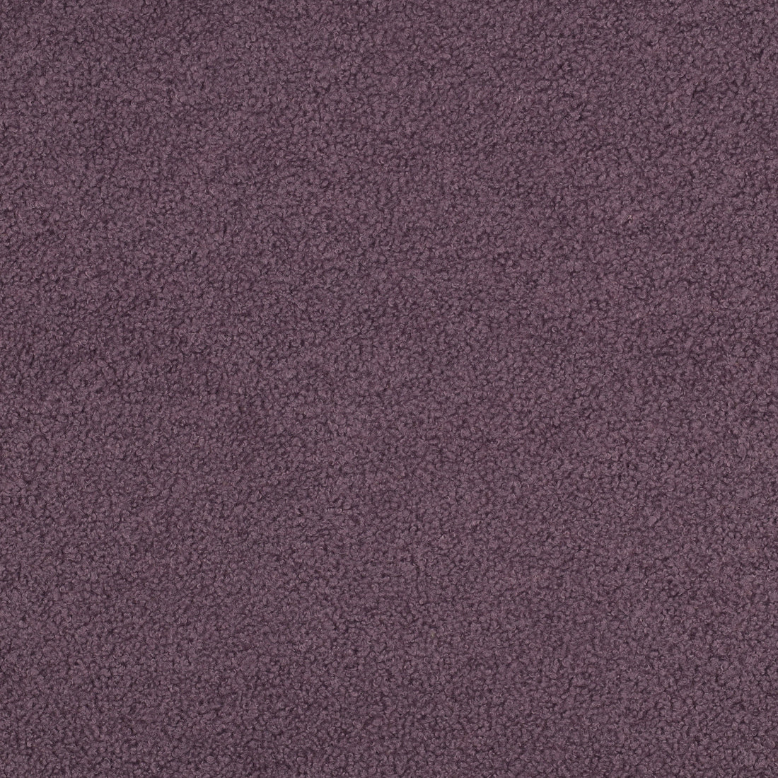 Teddy Fleece Premium “Dunkel Violett“