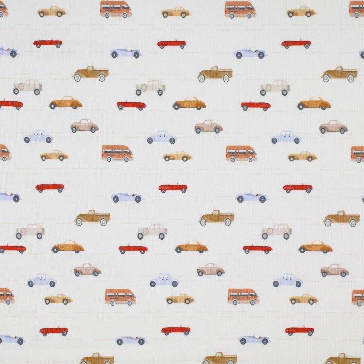 Rib Jersey „Little cars“
