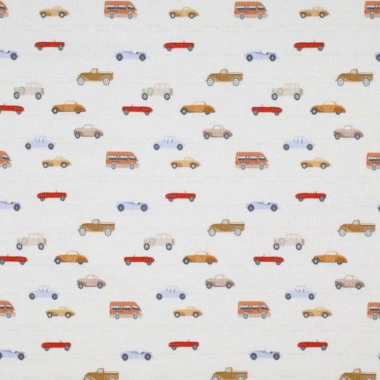 Rib Jersey „Little cars“