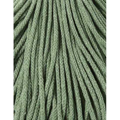 Eucalyptus Green / Braided Cord 3MM 100M 