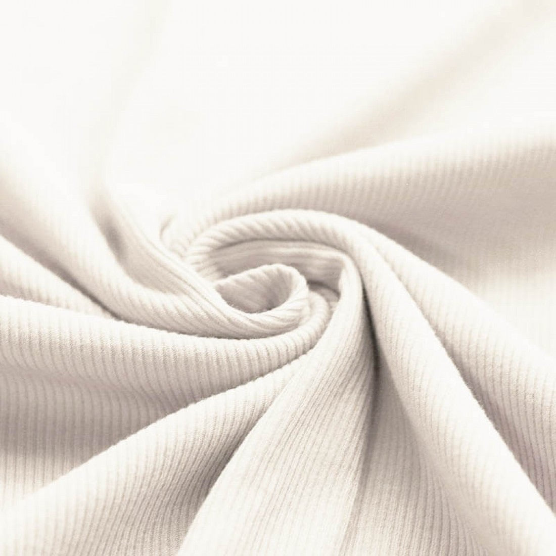 Rib Jersey "Ecru"
