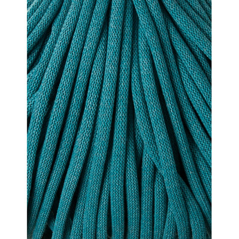 Teal / braided cord 9MM 100M 